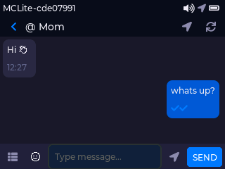 Chat view with map / telemetry / share header buttons